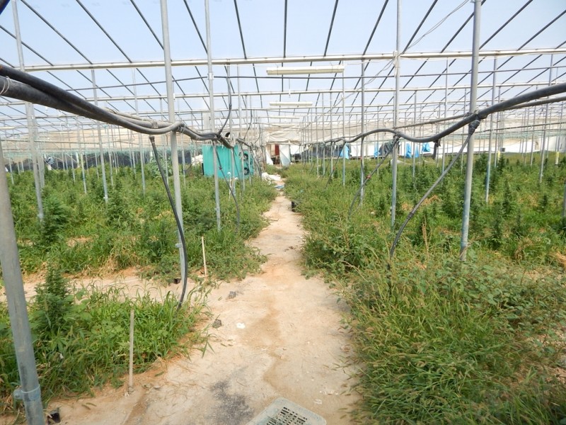xasis-kanavi-5