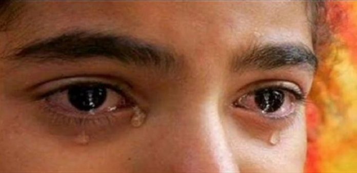 192999811-620x325-696x338