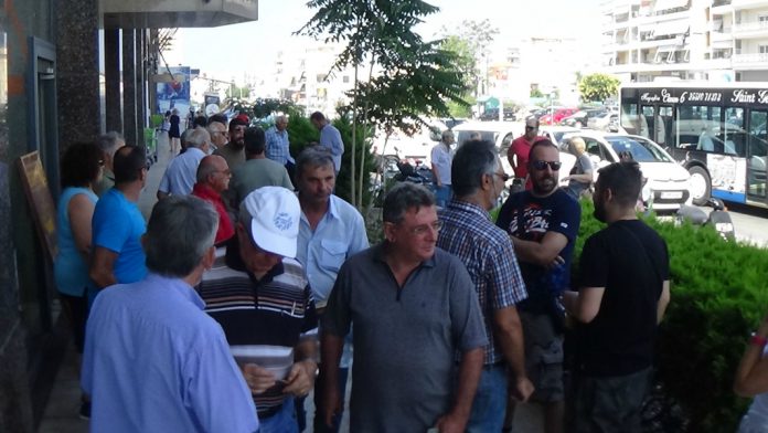 alexandroypoli elga