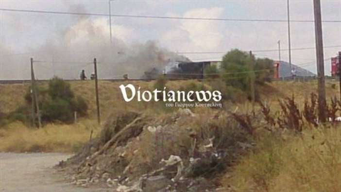 viotianews2