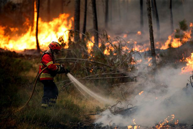 PAY-Forest-fire-in-Regoufe-Arouca