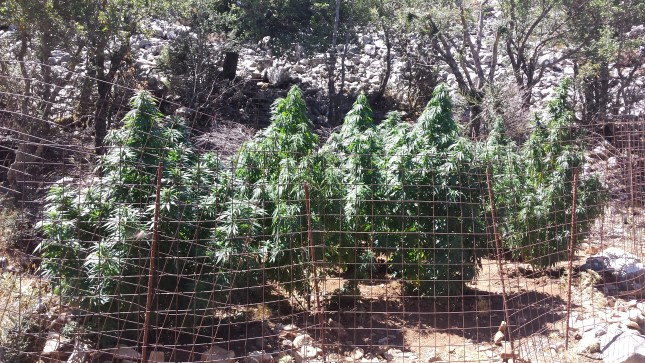 XASISODENTRA-MYLOPOTAMOS