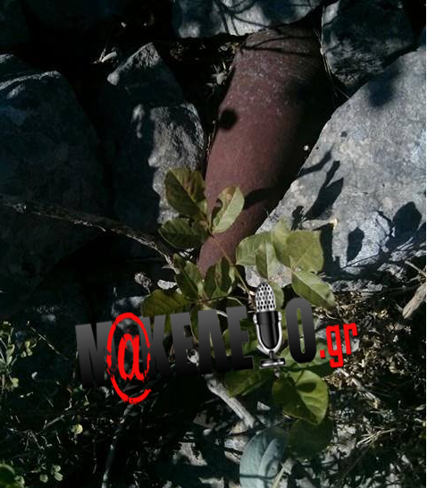 κοζανι οβιδα