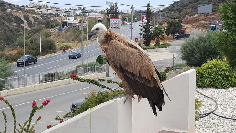 -κτεο-e1472496620986