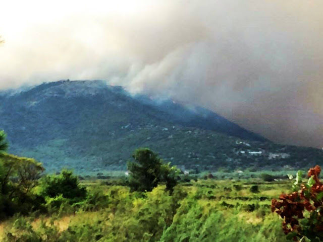 14238128_10210359583849178_829778652499353720_n