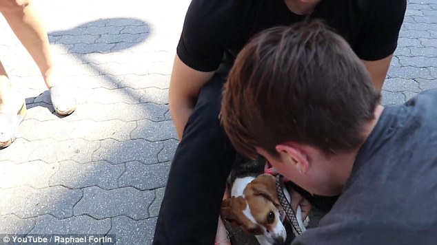 37EFCD5100000578-3774709-image-a-8_1473098050865