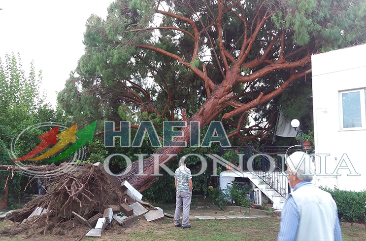 katastrofes-pygos-hleias_2