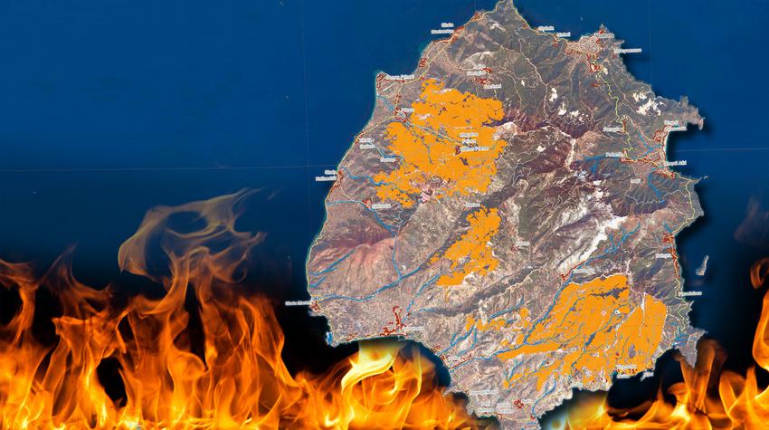 newego_LARGE_t_420_54813367_type13145