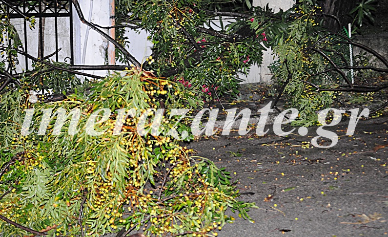 kakokairia-zakinthos-3