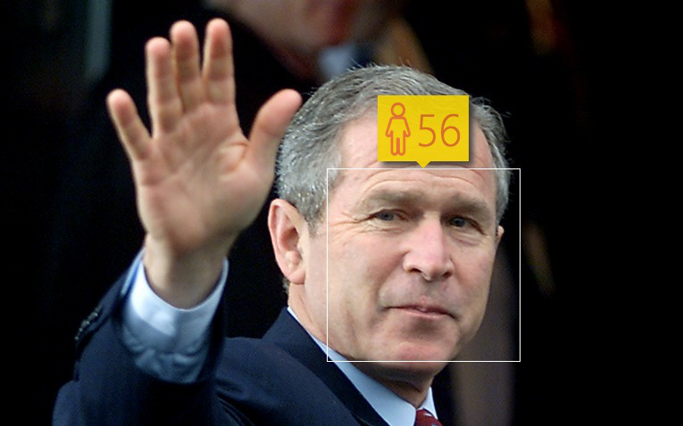 bush1_1