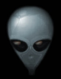 the-greys
