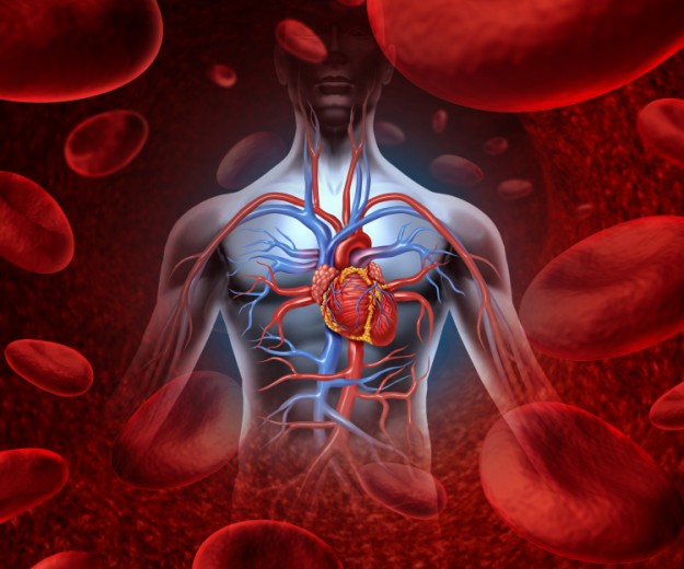 thromvoi