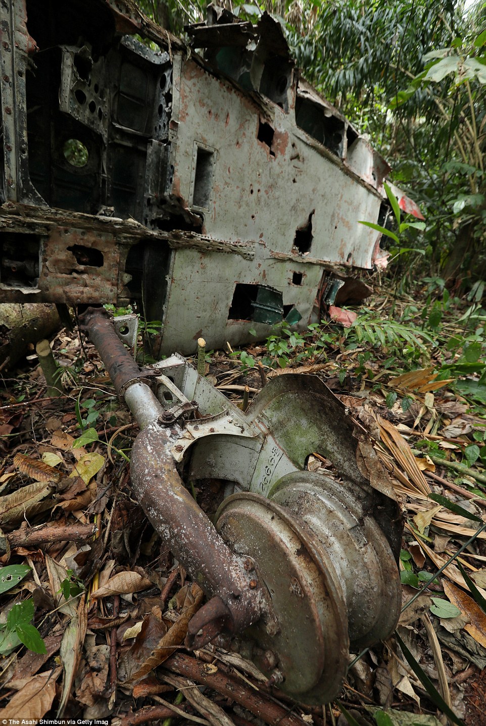 3B12277A00000578-4003520-More_debris_of_the_Imperial_Japan_fighter_Zero_in_a_jungle_in_Gu-a-2_1480994572872