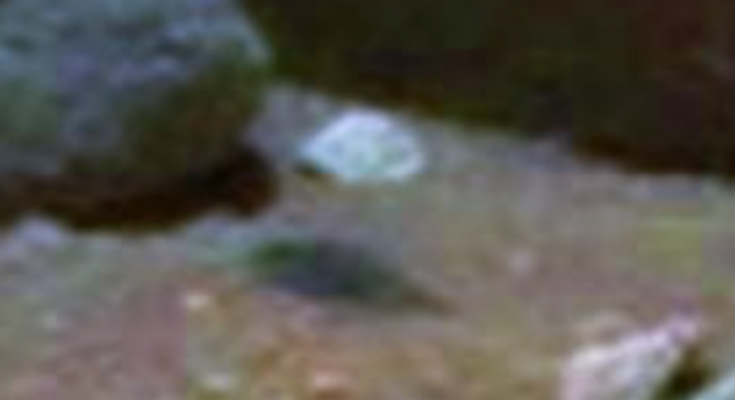 anti-gravity-science-priest-gravity-Mars-monster-rover-river-Aztec-Mayan-carving-fight-time-travel-traveler-real-UFO-UFOs-sighting-sightings-alien-aliens-Fox-News-CBS-NBC-ABC-CNN-1