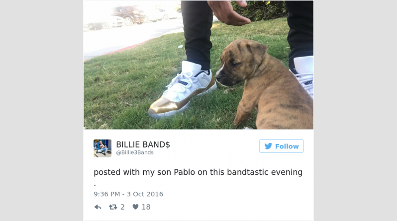 dog-cleans-pee-toilet-paper-pablo-1