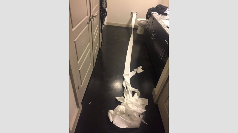 dog-cleans-pee-toilet-paper-pablo-5