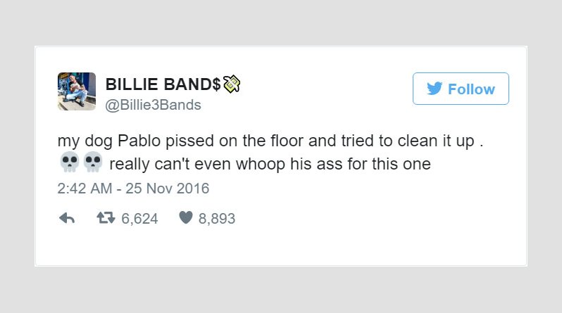 dog-cleans-pee-toilet-paper-pablo-6