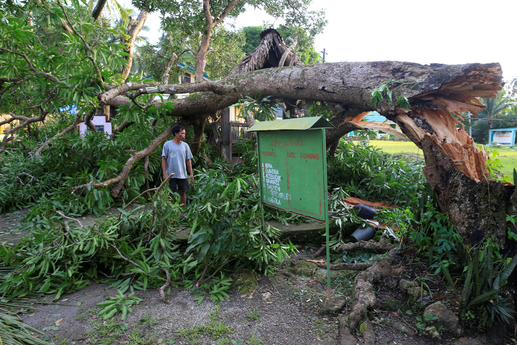 A resident looks at a tree uprooted by strong winds brought by Typhoon Nock-ten which cut through Camarines Sur, Bicol region, central Philippines December 26, 2016. REUTERS/Romeo Ranoco