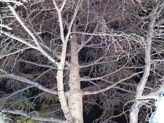 komotin dentr xristoyg