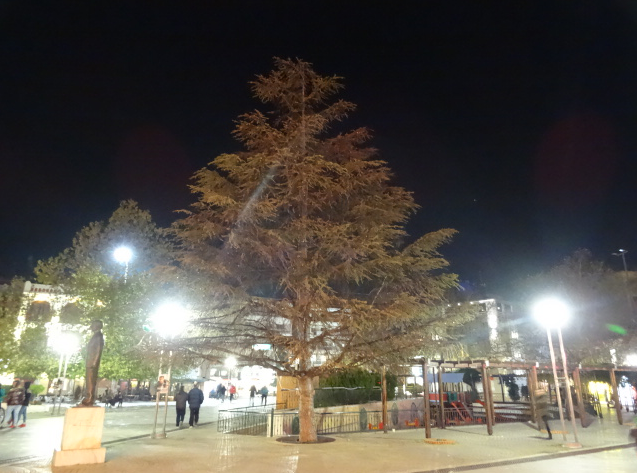 komotini dentro xristoygenna