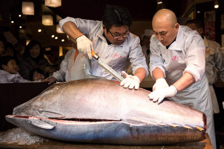 Employees of sushi restaurant chain Sushi-Zanmai cut a 212-kilogram bluefin tuna at their restaurant near the Tsukiji fish market in Tokyo on January 5, 2017. Japan's self-styled "Tuna King" has done it again -- paying more than 600,000 USD for a single fish. Sushi entrepreneur Kiyoshi Kimura paid top price at the first auction of the new year at Tokyo's Tsukiji fish market on January 5, bagging a prized bluefin tuna for an eye-watering 74.2 million yen (636,000 USD).  / AFP PHOTO / Behrouz MEHRI