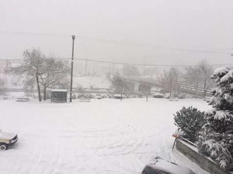KARDITSA2