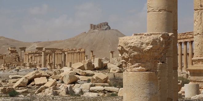 Palmyra
