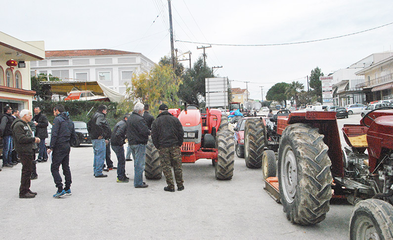 agrotes-azkinthos