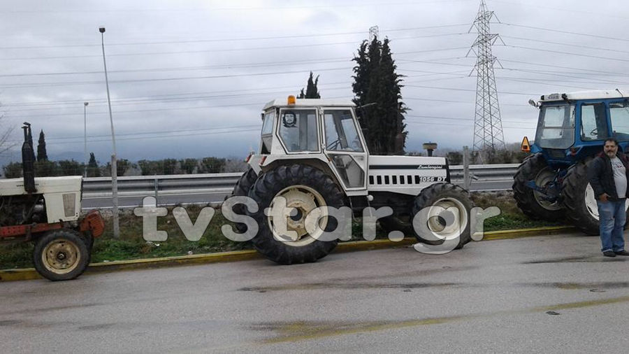 agrotes-mplokoanthlili10