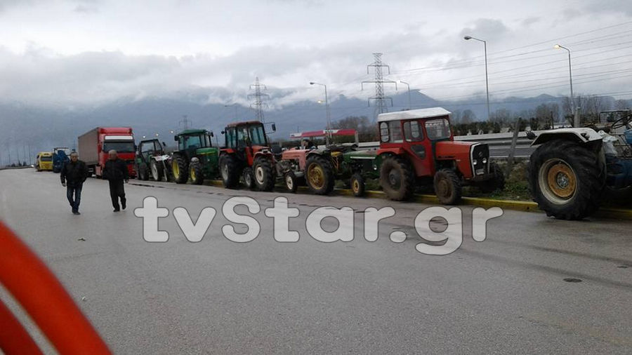 agrotes-mplokoanthlili11