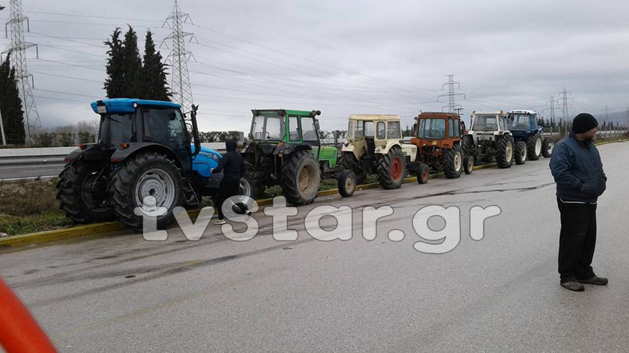 agrotes-mplokoanthlili15