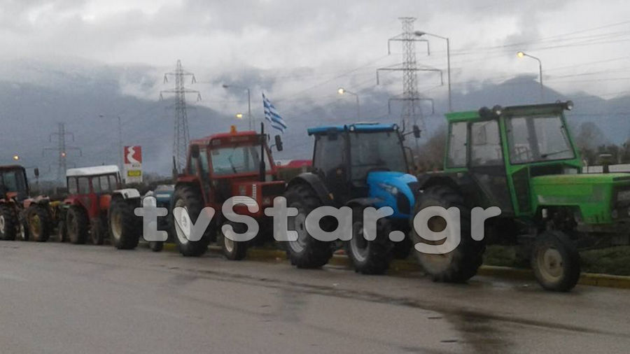 agrotes-mplokoanthlili16