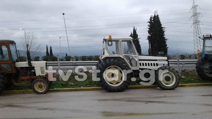 agrotes-mplokoanthlili19