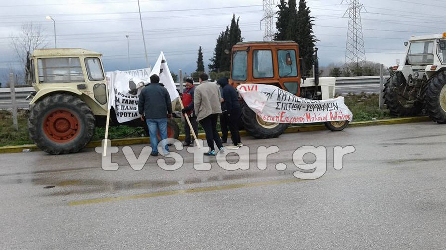 agrotes-mplokoanthlili20