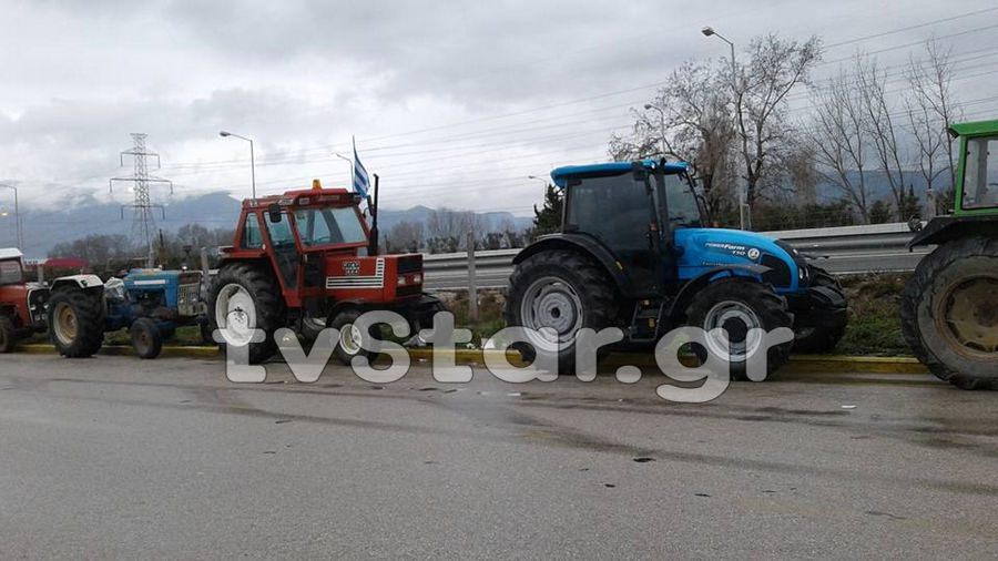 agrotes-mplokoanthlili3