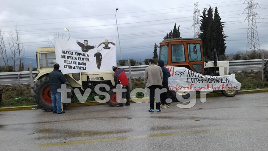agrotes-mplokoanthlili6