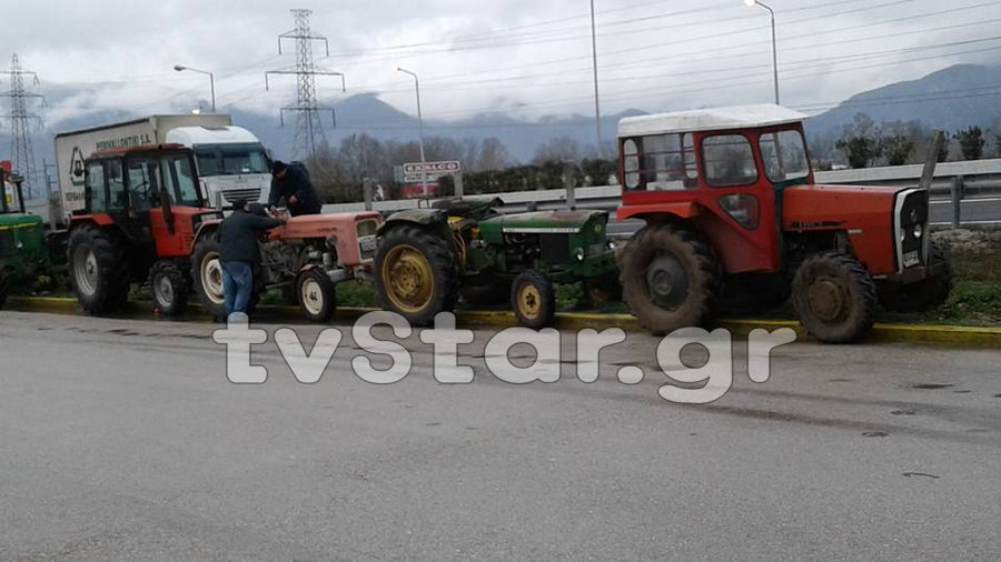 agrotes-mplokoanthlili8