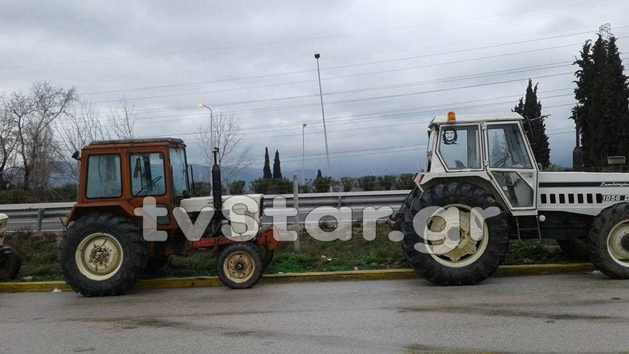 agrotes-mplokoanthlili9