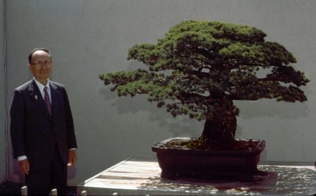 bonsai_b2