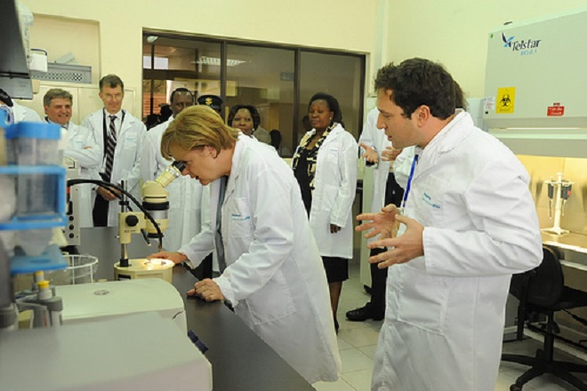 merkel-science