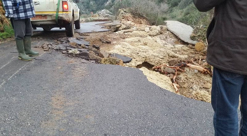 platanias.12.2.5