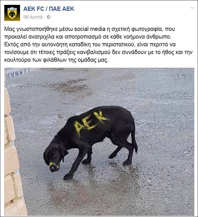 anakoinosi aek
