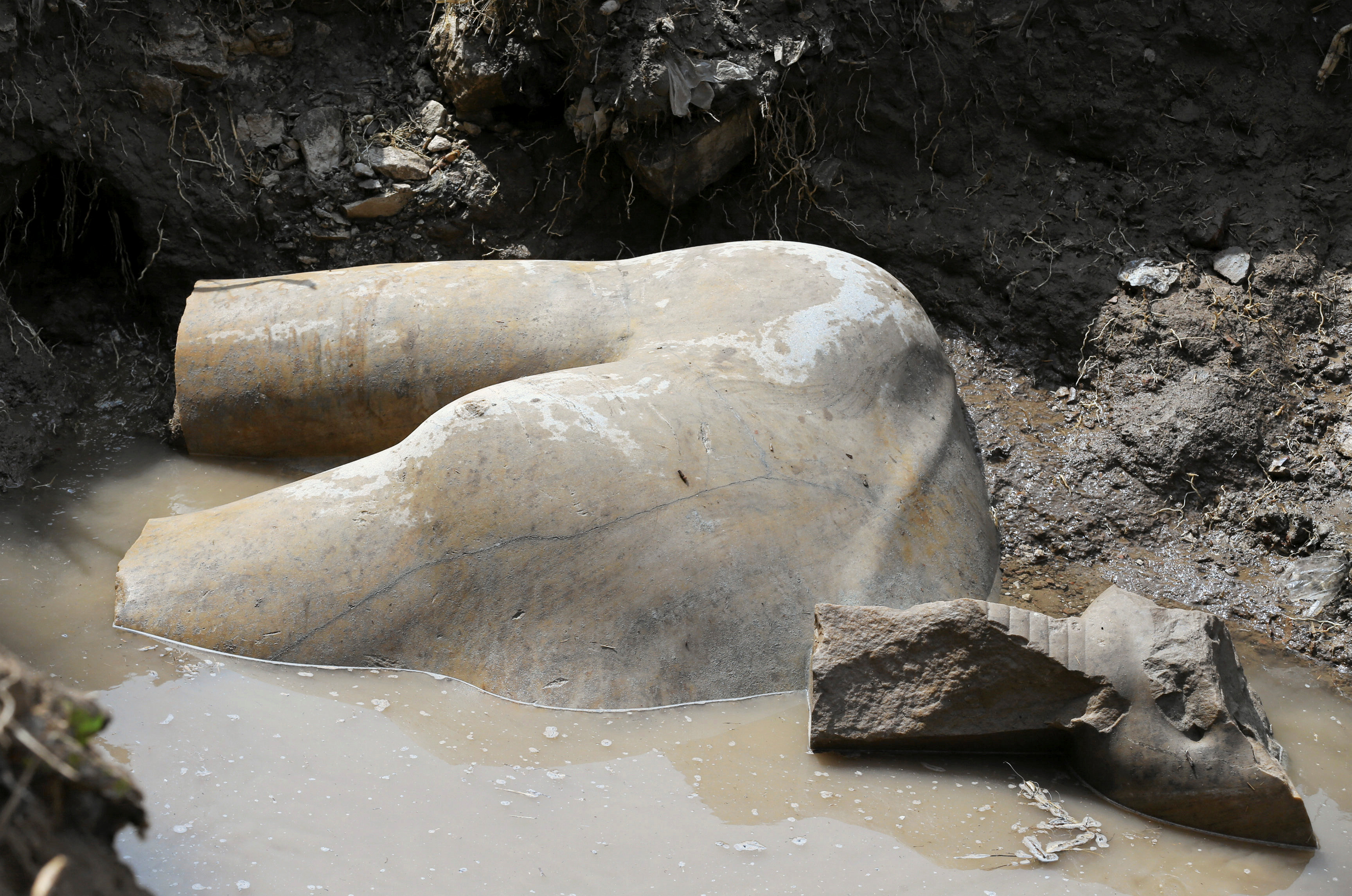 A statue workers say depicts Pharaoh Ramses II who ruled Egypt over 3,000 years was unearthed on Thursday in the Matariya area in Cairo