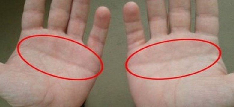 palami-373x200-780x358