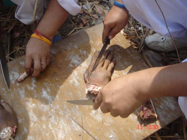 DSC09783