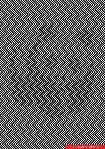 73735-large-276026-424x600
