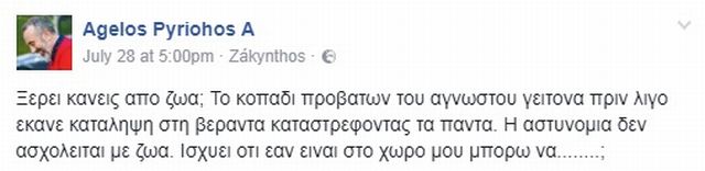 pyriochos_arnia