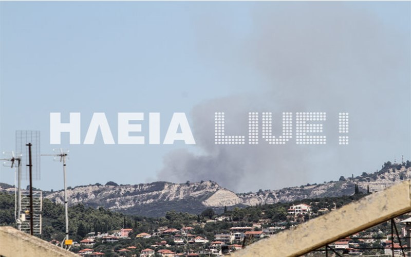 ILEIA1