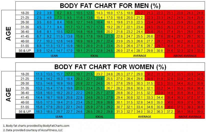 bodyfatchart
