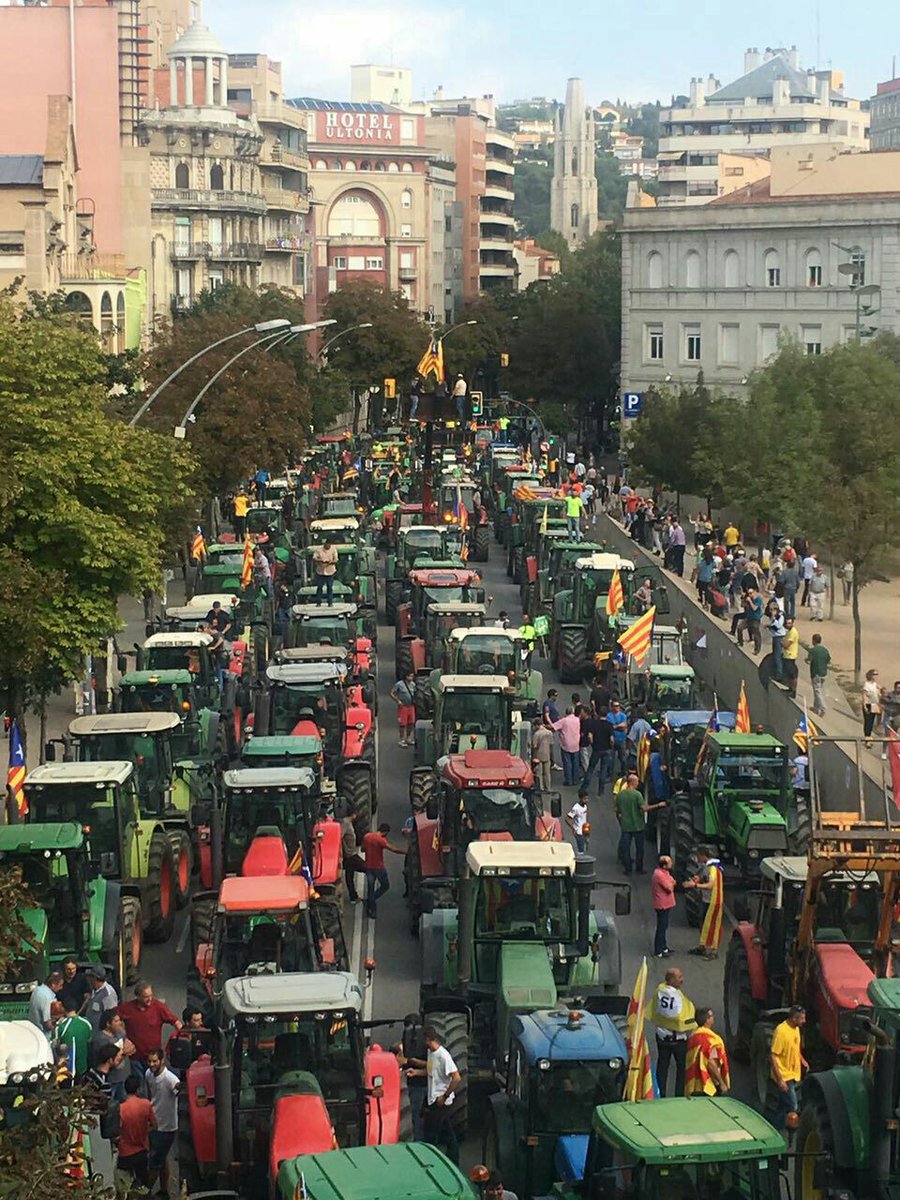 DIMO14